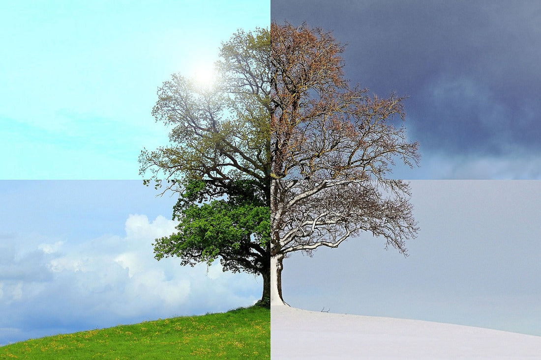 Sommer vs vinter – hvilket sengetøy bør du velge?