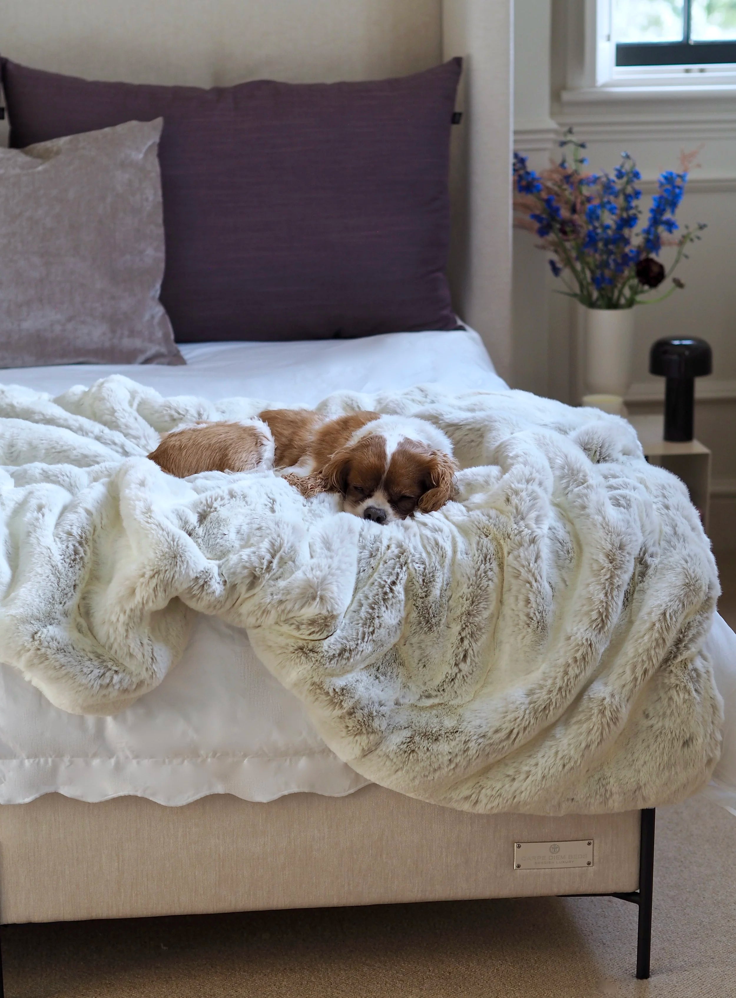 Display model Blanket Faux Fur Sable from Carpe Diem Beds